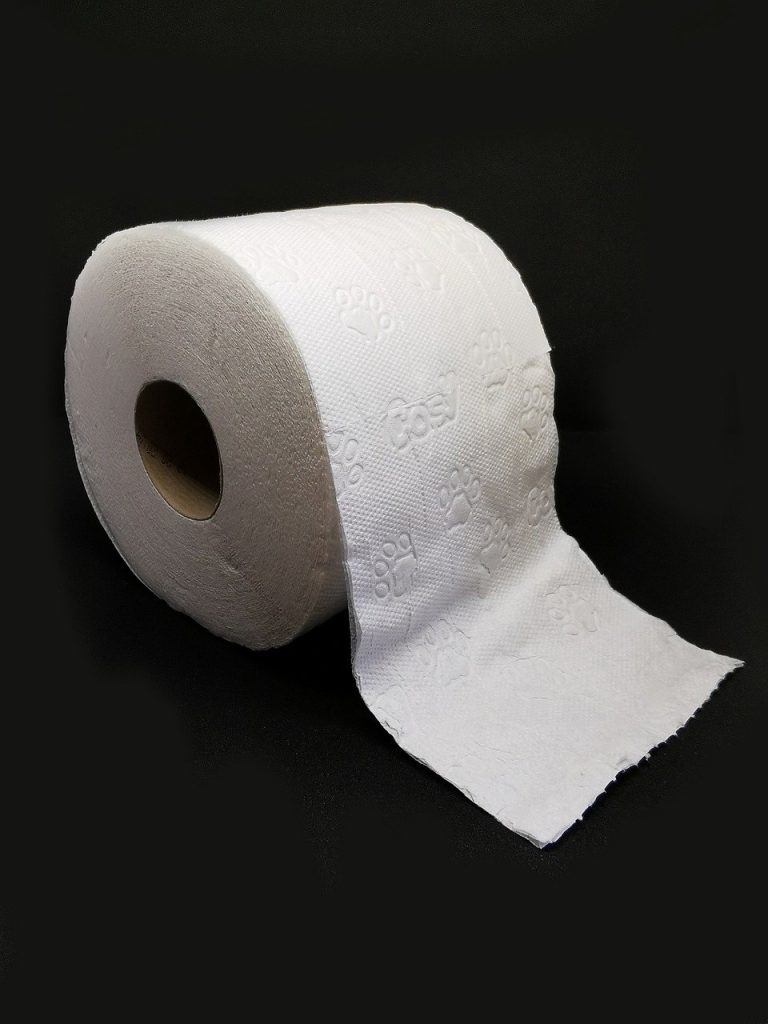 toilet-paper-4937479_1280